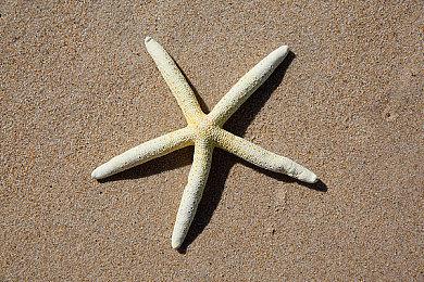 《星刃》媒体评测即将开始 评分4月24日解禁